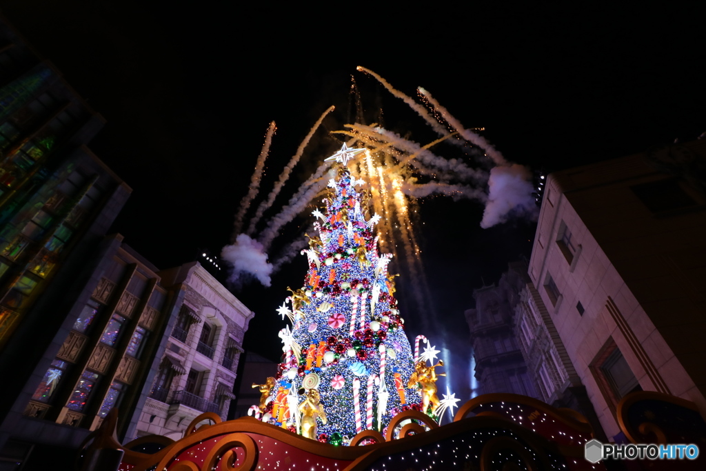 クリスマスツリー点灯