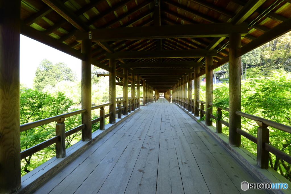 通天橋 誰もいませ～ん(^^)