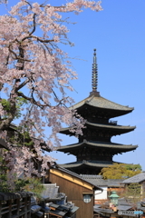 八坂の塔と桜