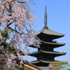 八坂の塔と桜