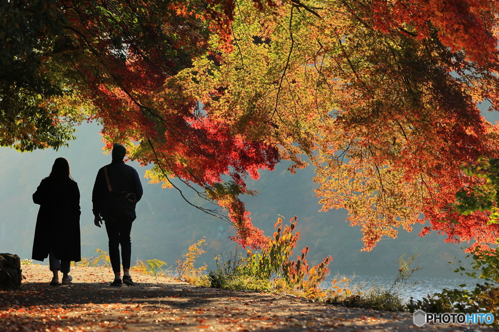 紅葉の散歩道