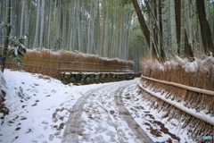 少し雪景色の竹林 #2