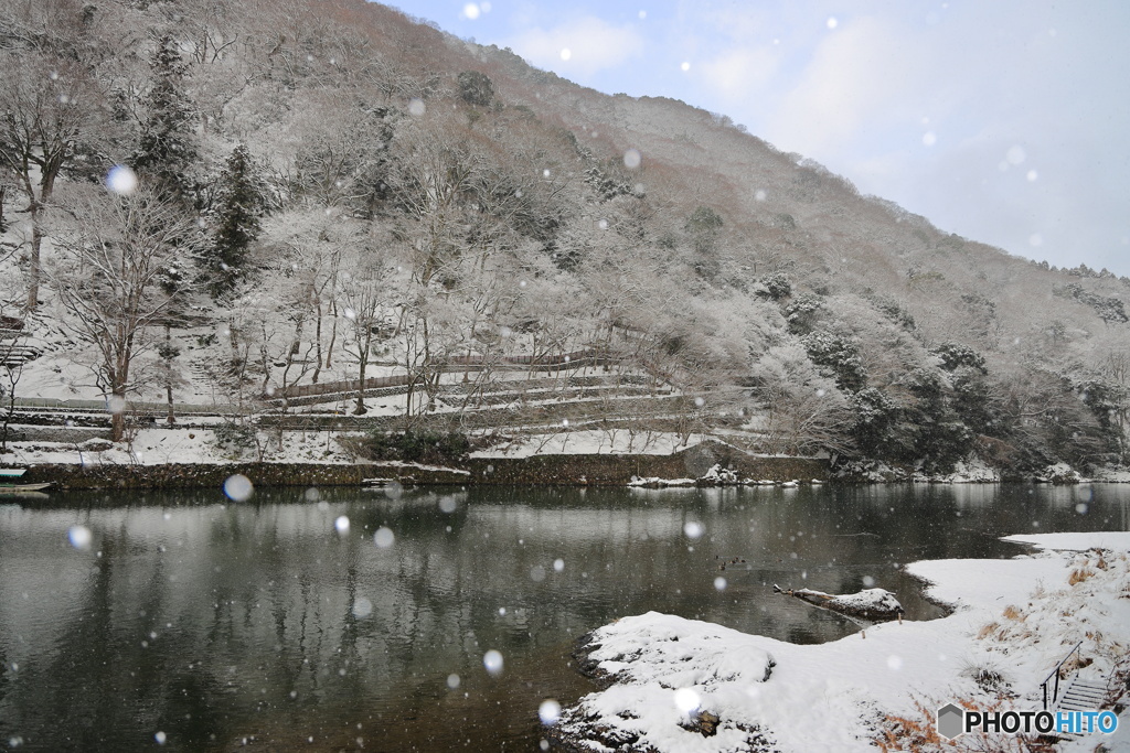 雪降る嵐山 #1