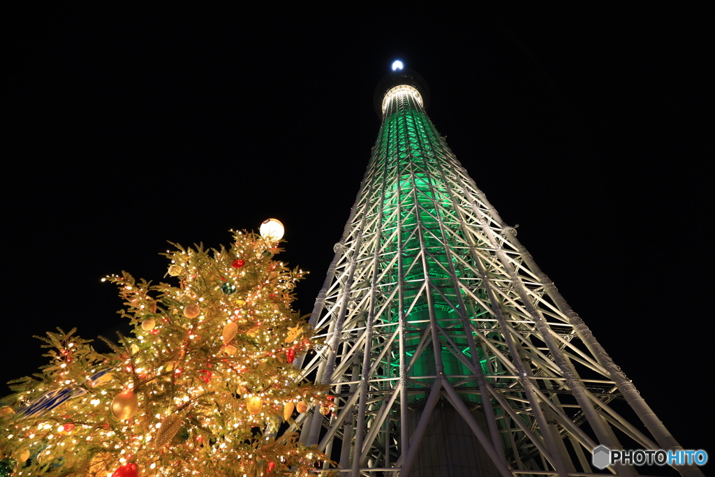 クリスマスツリーとスカイツリー