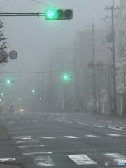 霧の京都市内