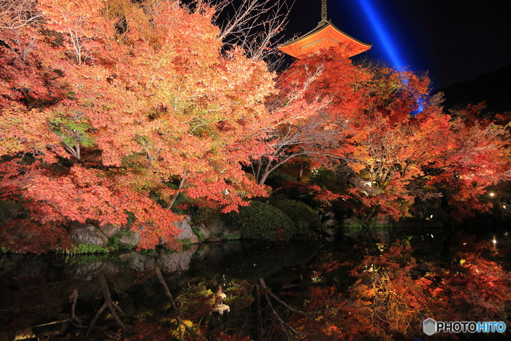 水面に映り込む紅葉