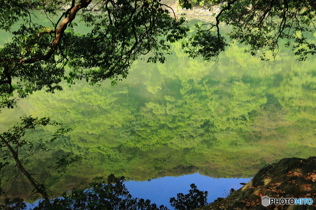 川の中の景色 #1