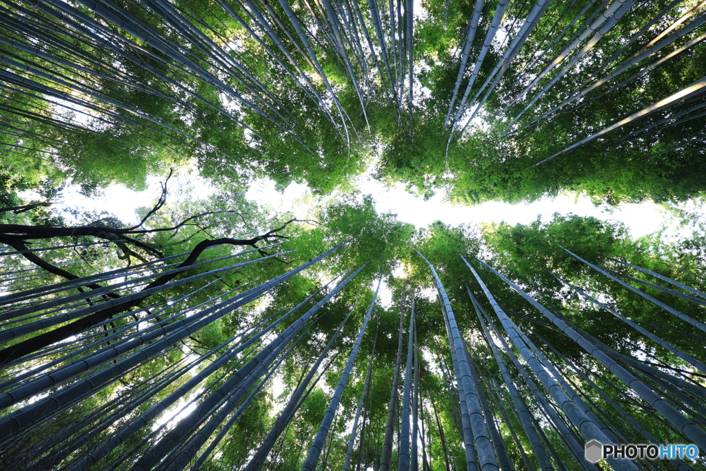 空を見上げて