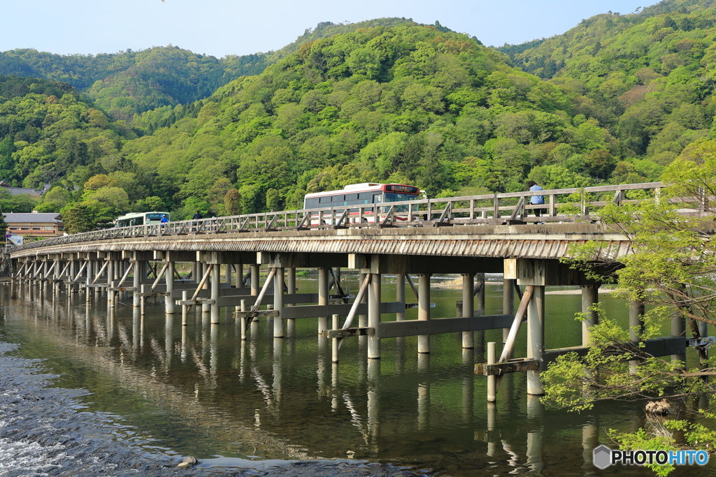 新緑と渡月橋