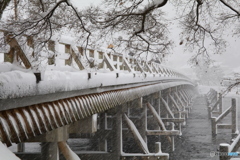 雪の渡月橋#2