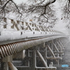雪の渡月橋#2