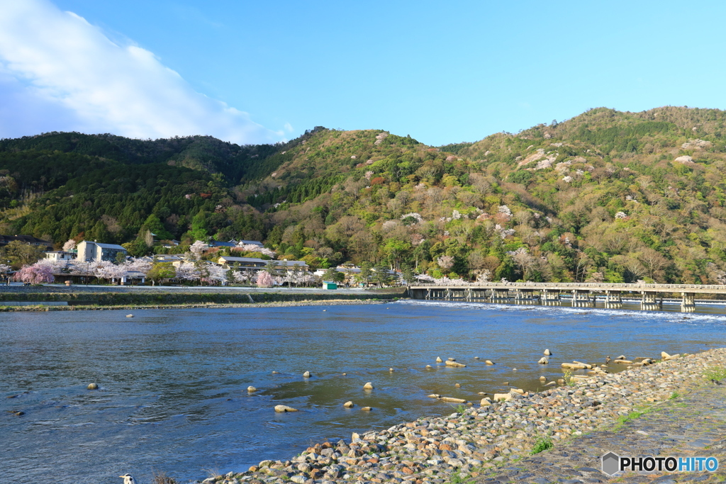 朝の渡月橋