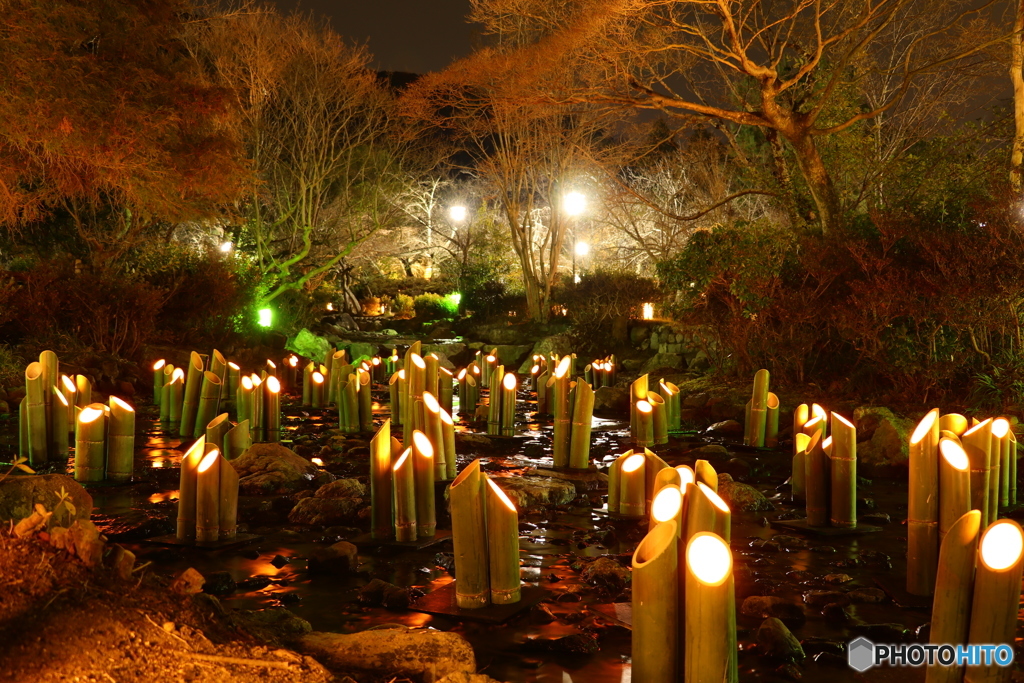 東山花灯路 円山公園ライトアップ-2