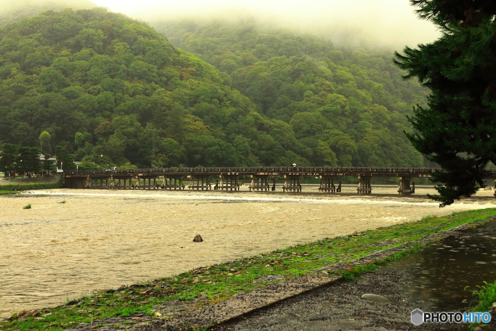 雨の嵐山