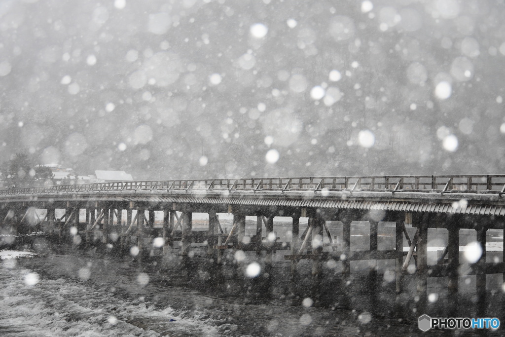 雪と渡月橋 #3