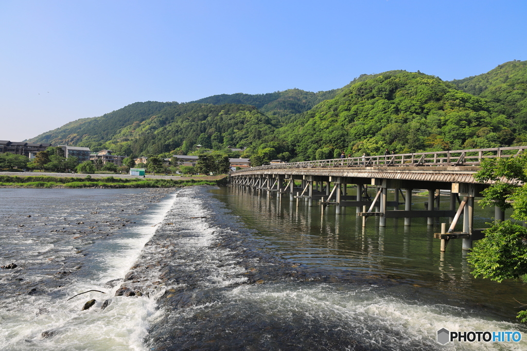 朝のお散歩