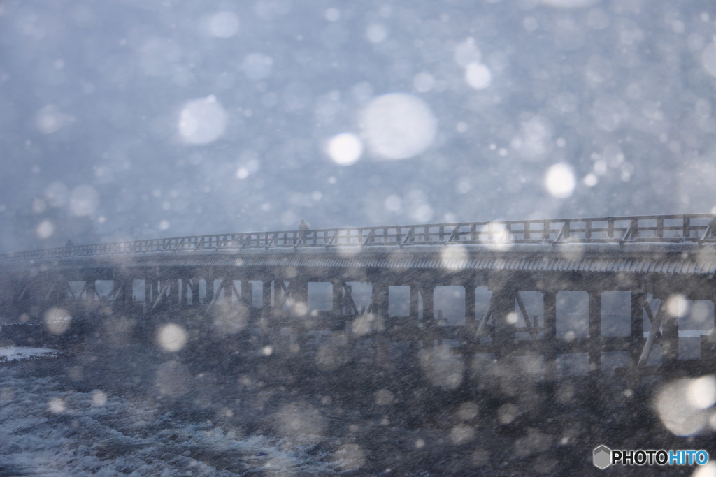 雪降る渡月橋