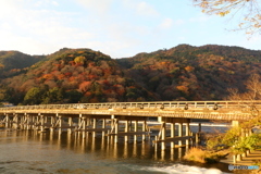 朝日を浴びる渡月橋