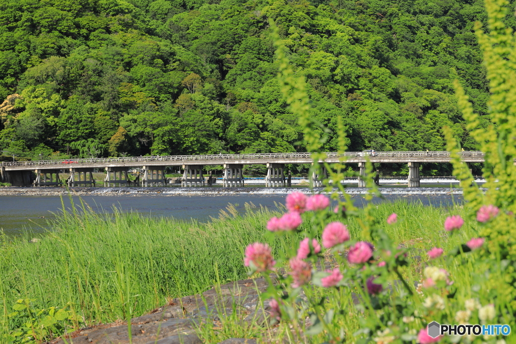 河原をお散歩