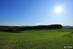 太陽に照らされて