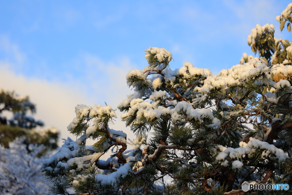 青空に雪景色