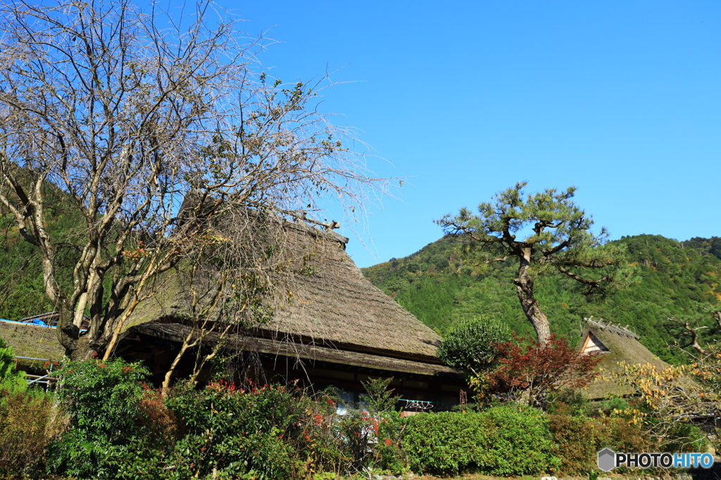 かやぶき屋根の家