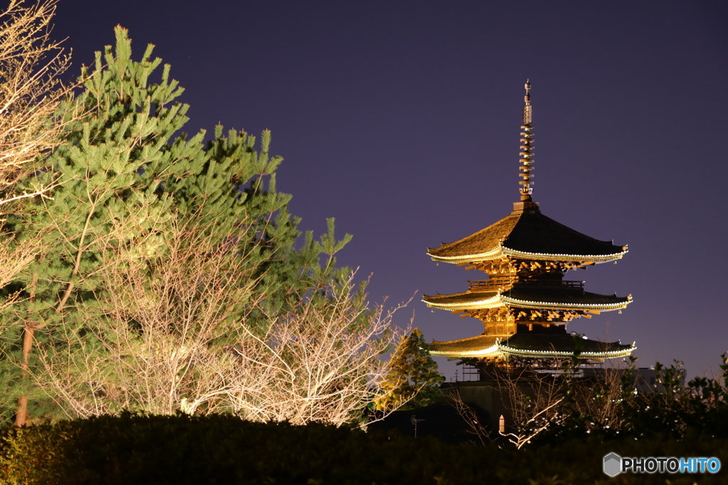 八坂の塔を眺めてみた