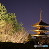 八坂の塔を眺めてみた