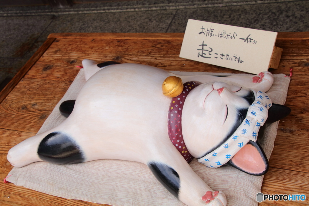 起こさないでくださいネ (^^)