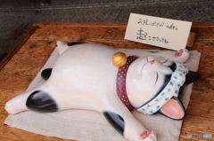 起こさないでくださいネ (^^)