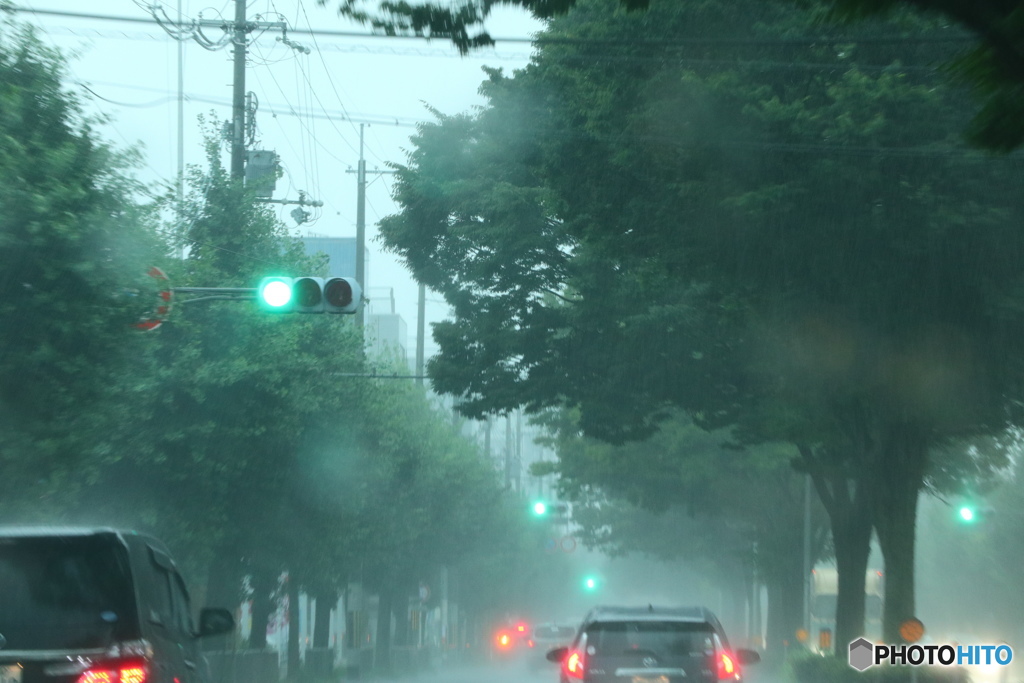 車の助手席からの眺め #2