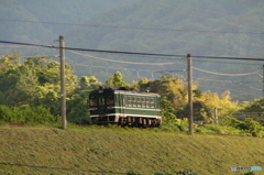 緑色のローカル列車