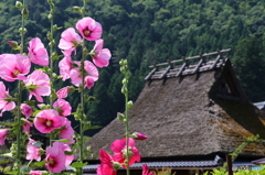 お花とかやぶきの家