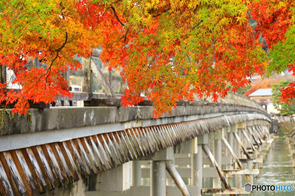 渡月橋に紅葉を添えて