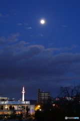 京都タワーとお月様