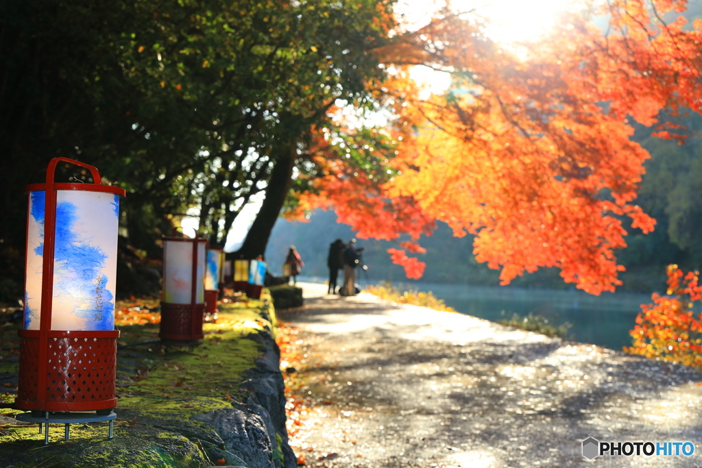 朝のお散歩