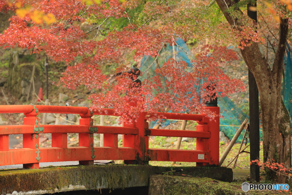 橋と紅葉#2