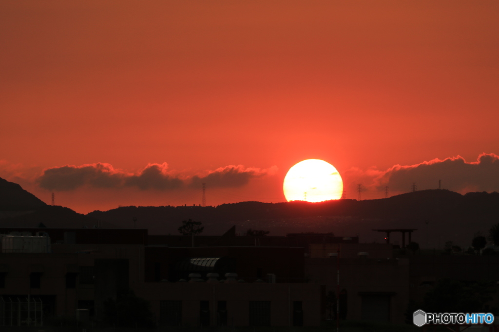太陽にほえろ