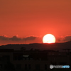 太陽にほえろ