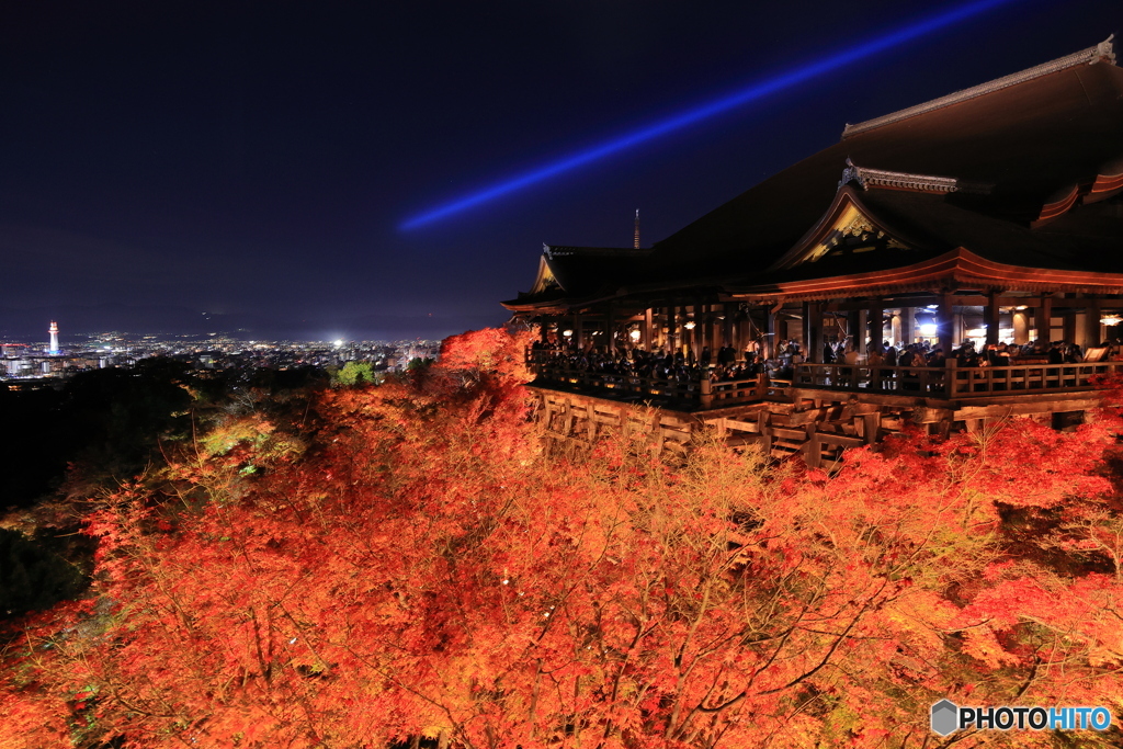 清水寺 紅葉ライトアップ