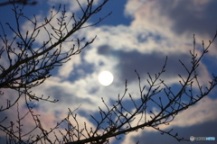 夜空に浮かぶお月様