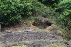 ハートの洞穴