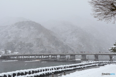 雪の渡月橋#1