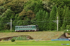 田園と緑色のローカル列車