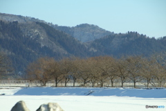 雪景色