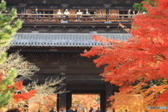 南禅寺の門と紅葉を眺める