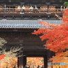 南禅寺の門と紅葉を眺める