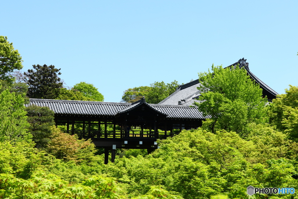 沢山の緑に囲まれる通天橋