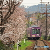 嵐電と桜