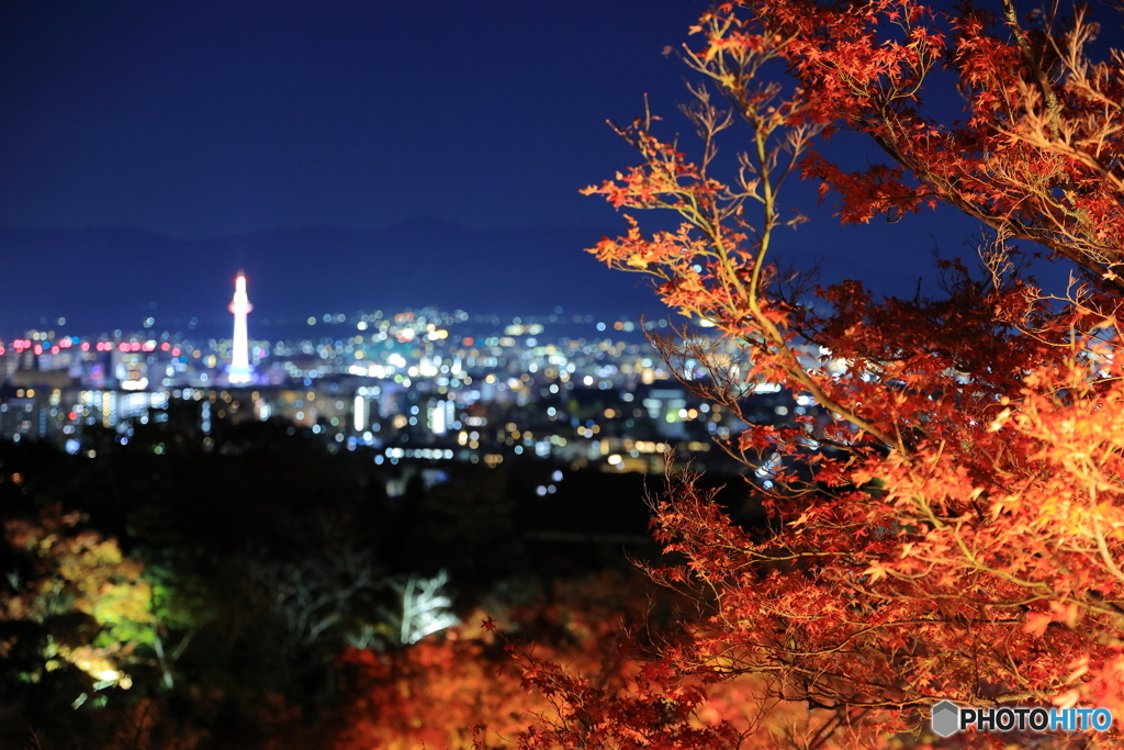 紅葉ライトアップと夜景